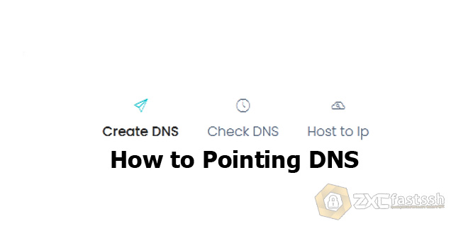 How to Pointing DNS