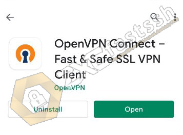 Download and Install the OpenVPN Connect Application