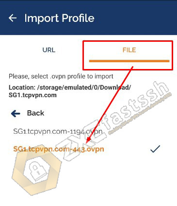 Import Config OpenVPN
