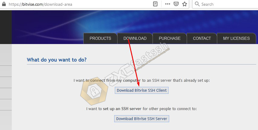 Download Bitvise SSH Client