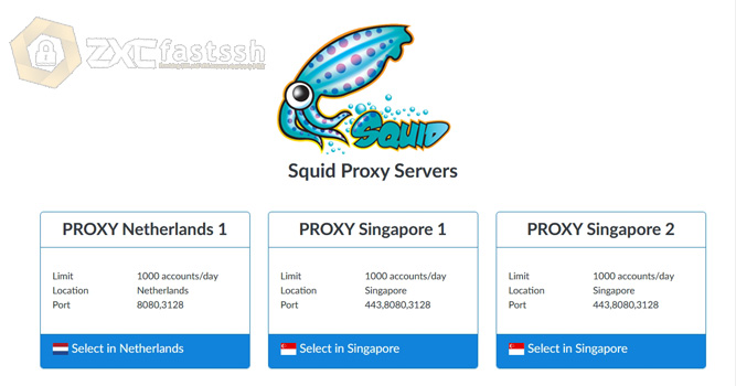How to Get a Squid Proxy Server