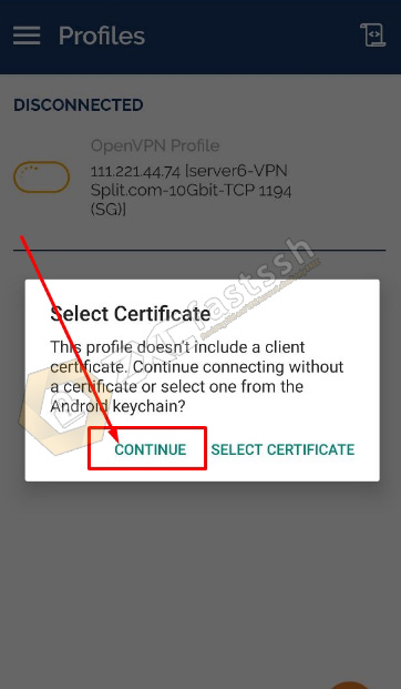 How to Connect OpenVPN