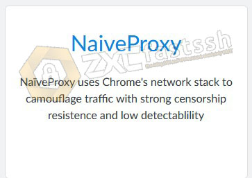 How to Use NaiveProxy on PC