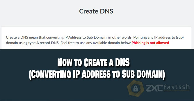 How to Create a DNS (Converting IP Address to Sub Domain)