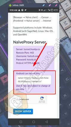 Cara Menggunakan NaiveProxy di Android
