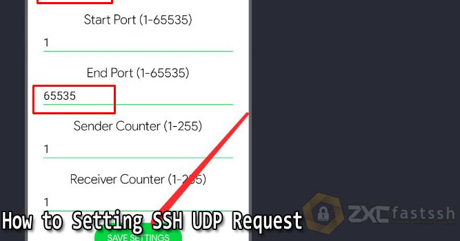 How to Setting SSH UDP Request